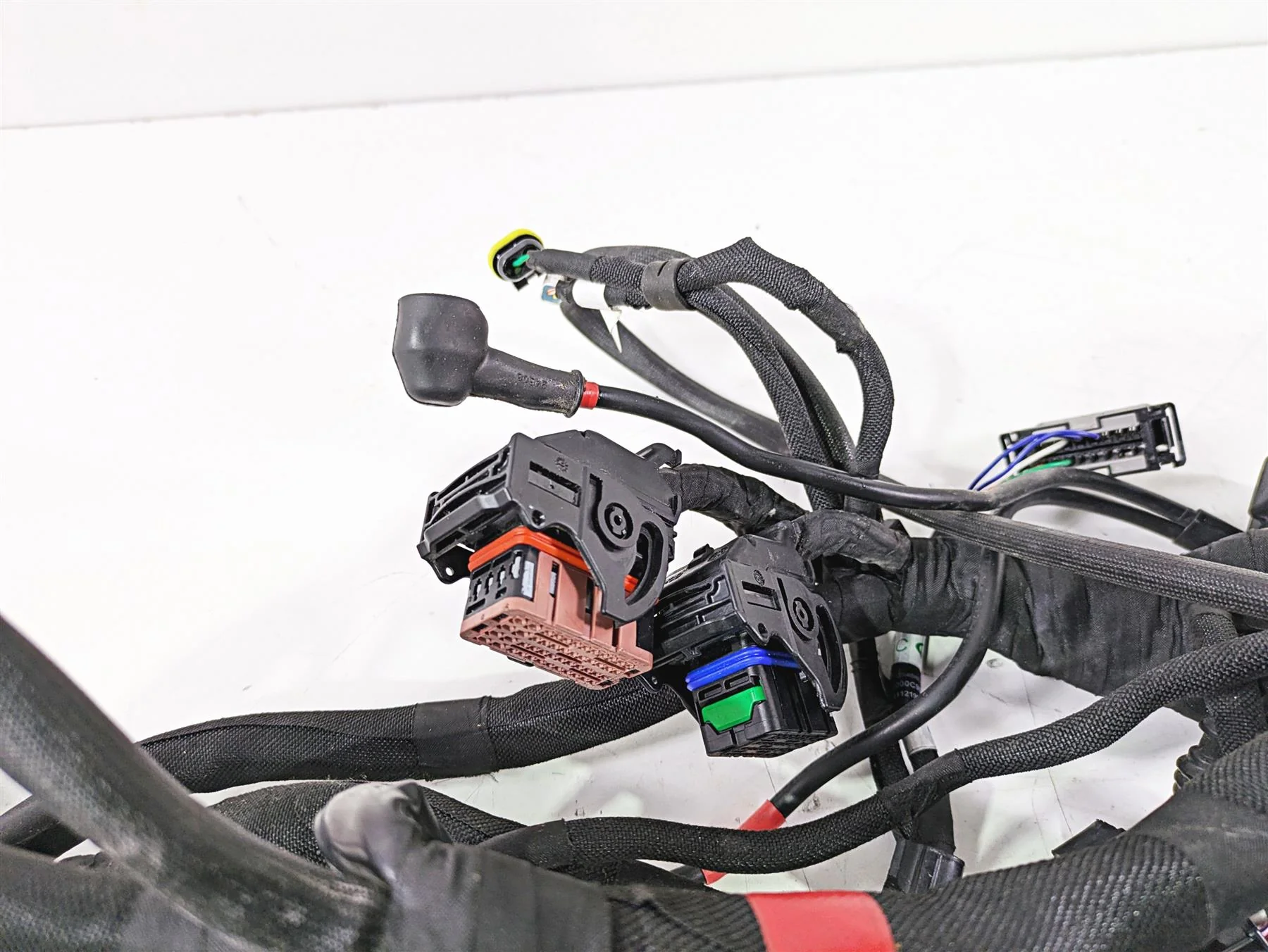 2022 MV Agusta F3 800 Rosso Main Wiring Harness Loom 8000C8926 - Image 3