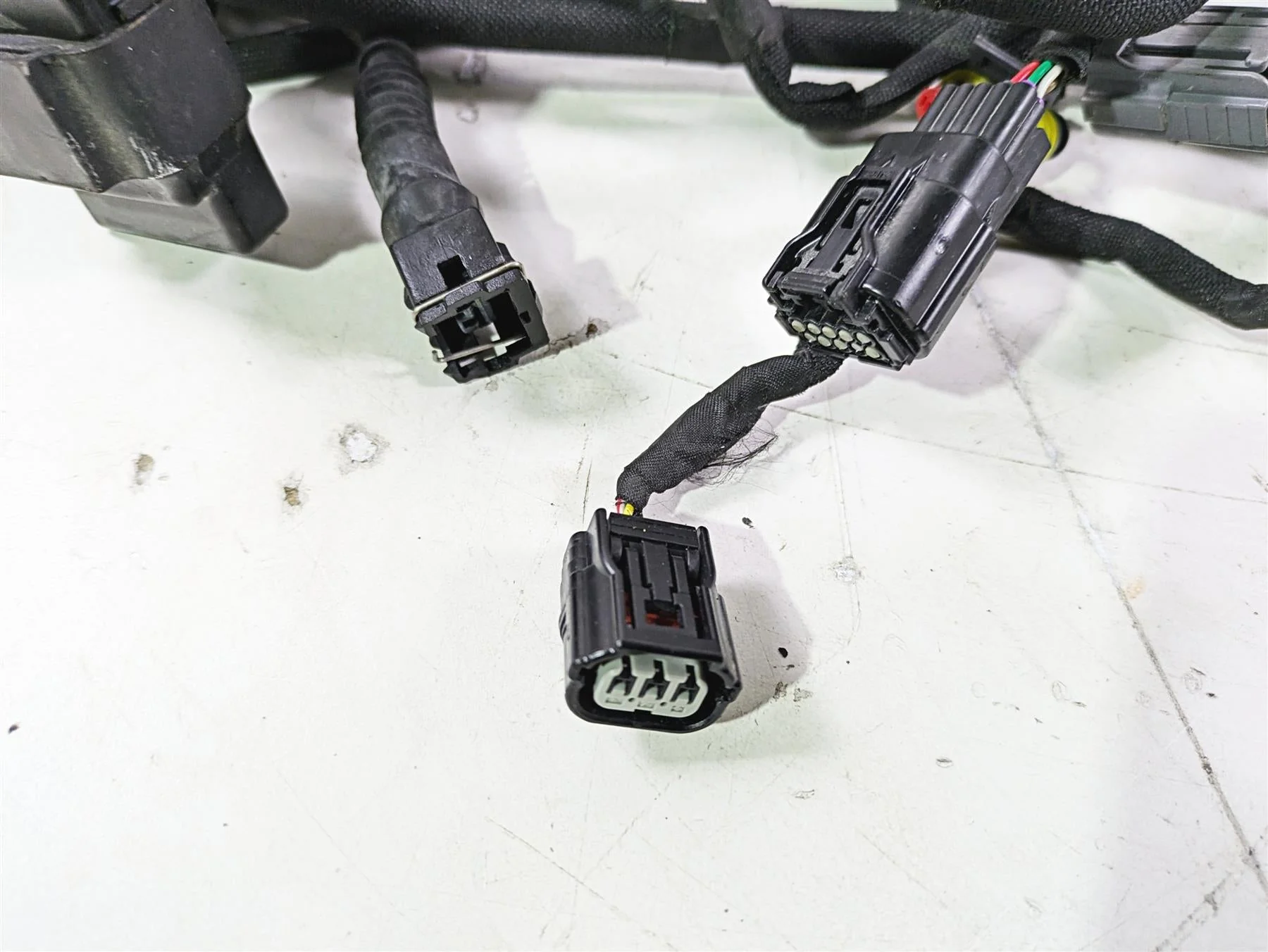 2022 MV Agusta F3 800 Rosso Main Wiring Harness Loom 8000C8926 - Image 7