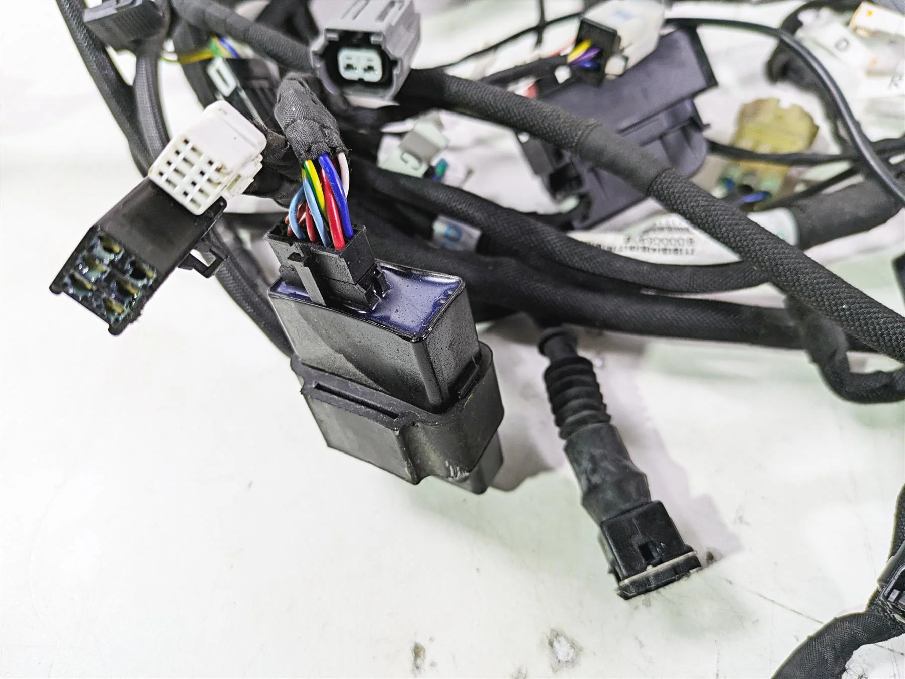 2022 MV Agusta F3 800 Rosso Main Wiring Harness Loom 8000C8926 - Image 8