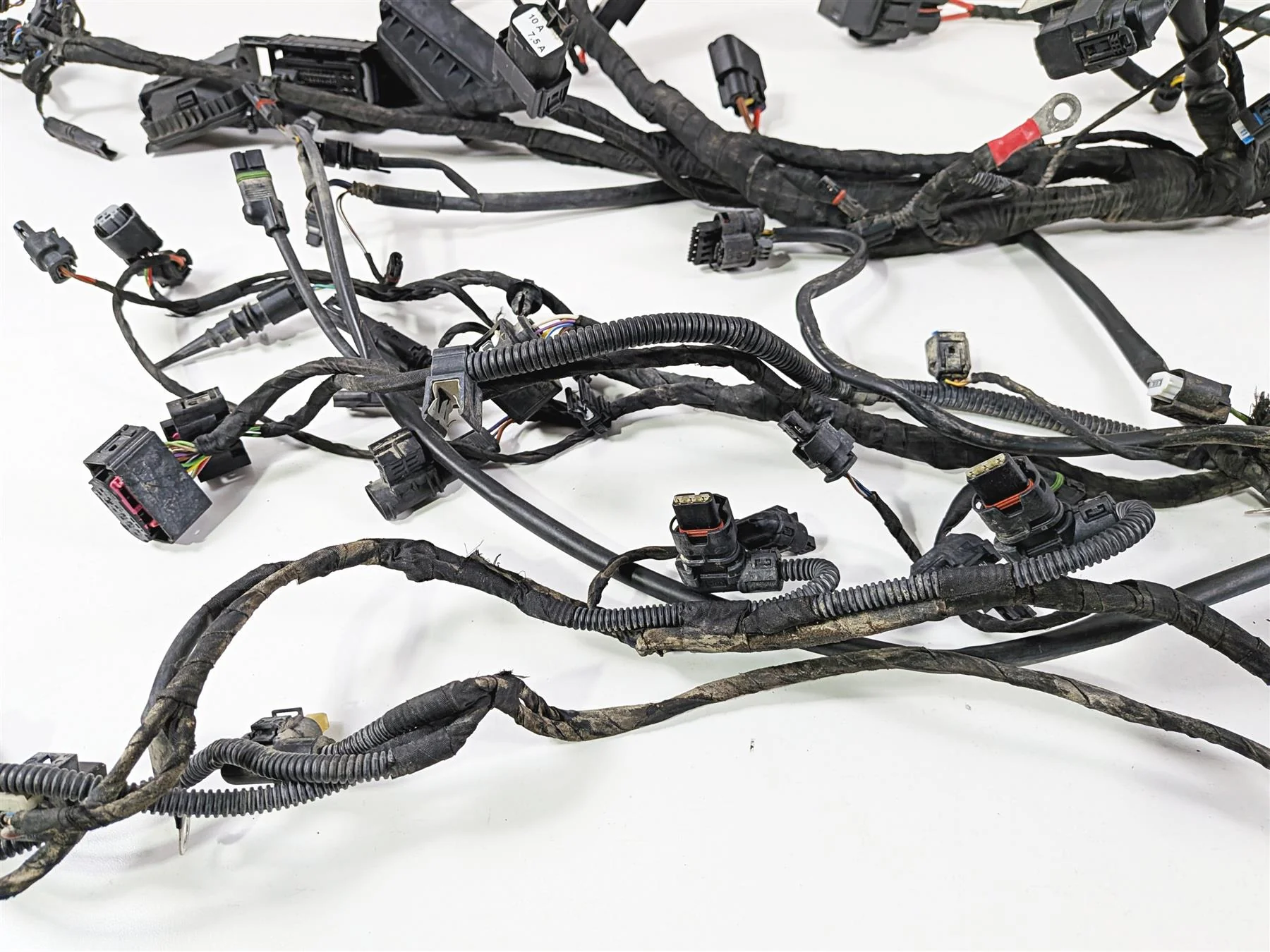 2023 BMW F850GS K81 Main Wiring Harness Loom - No Cuts 61118409327 - Image 4