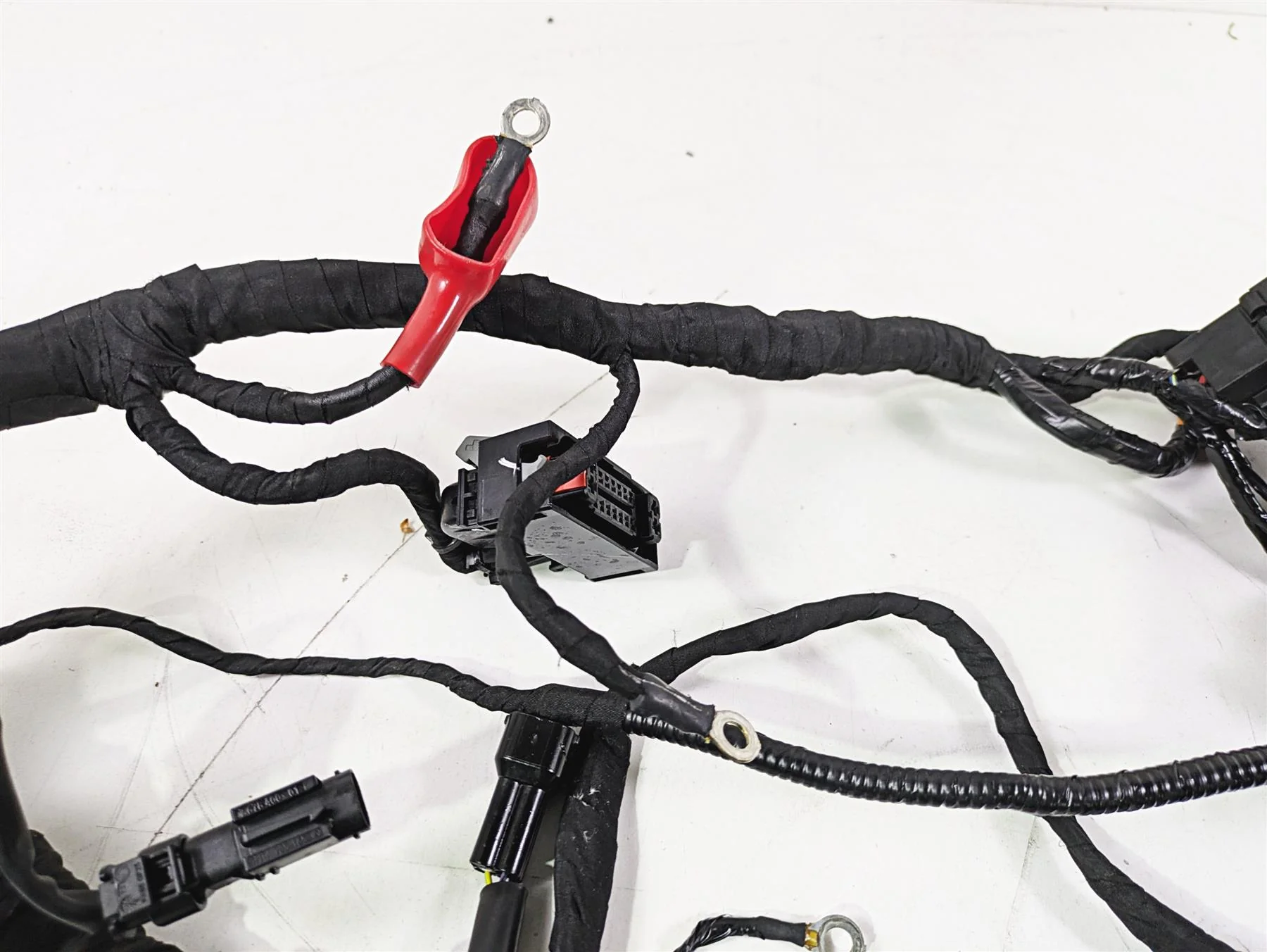 2023 BMW G310R K03 Wiring Harness Loom - No Cuts 61111541006 - Image 5