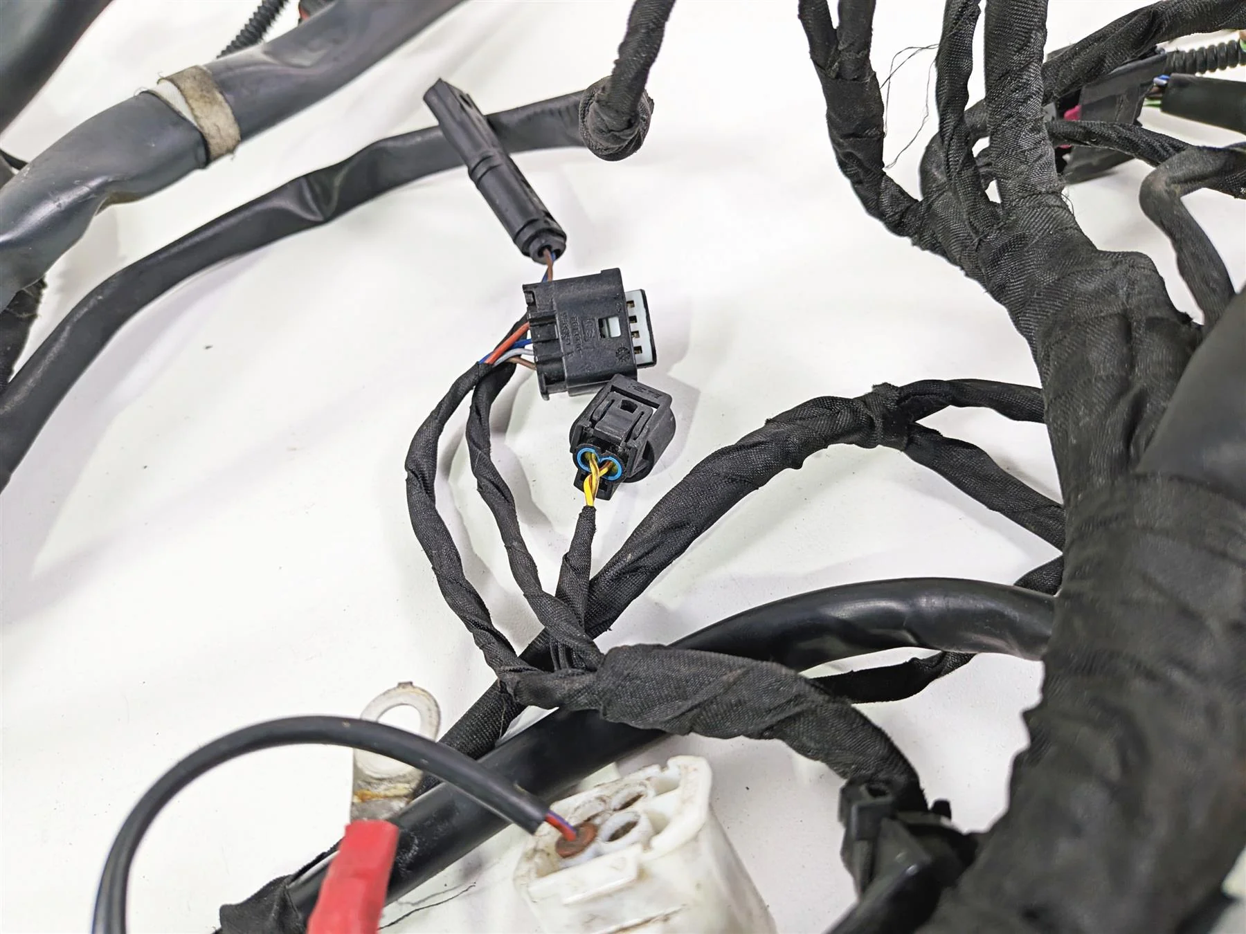 2023 BMW R nineT Scrambler K23 Main Wiring Harness & Engine Wiring 61111623748 - Image 10