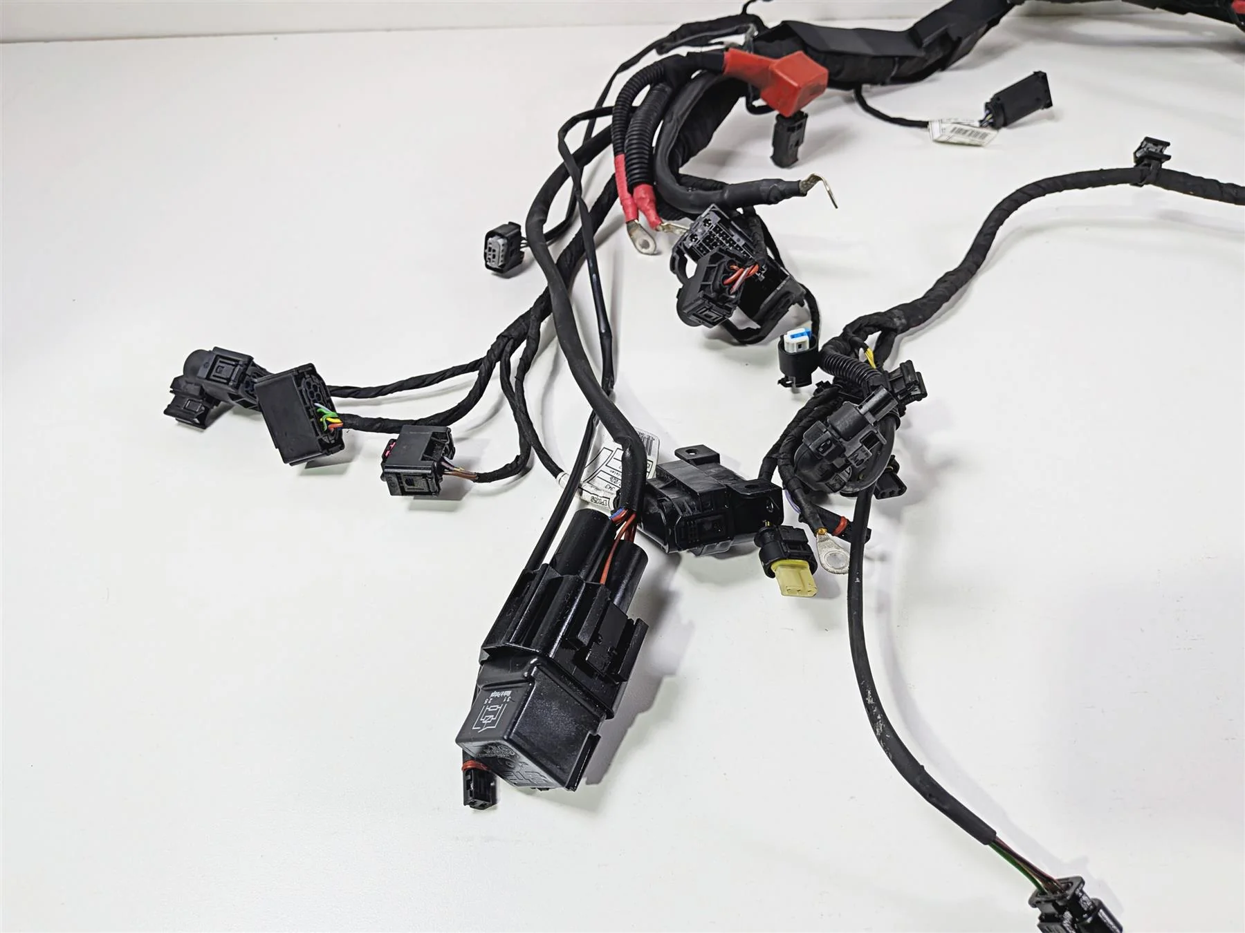 2023 BMW R nineT Scrambler K23 Main Wiring Harness & Engine Wiring 61111623748 - Image 2