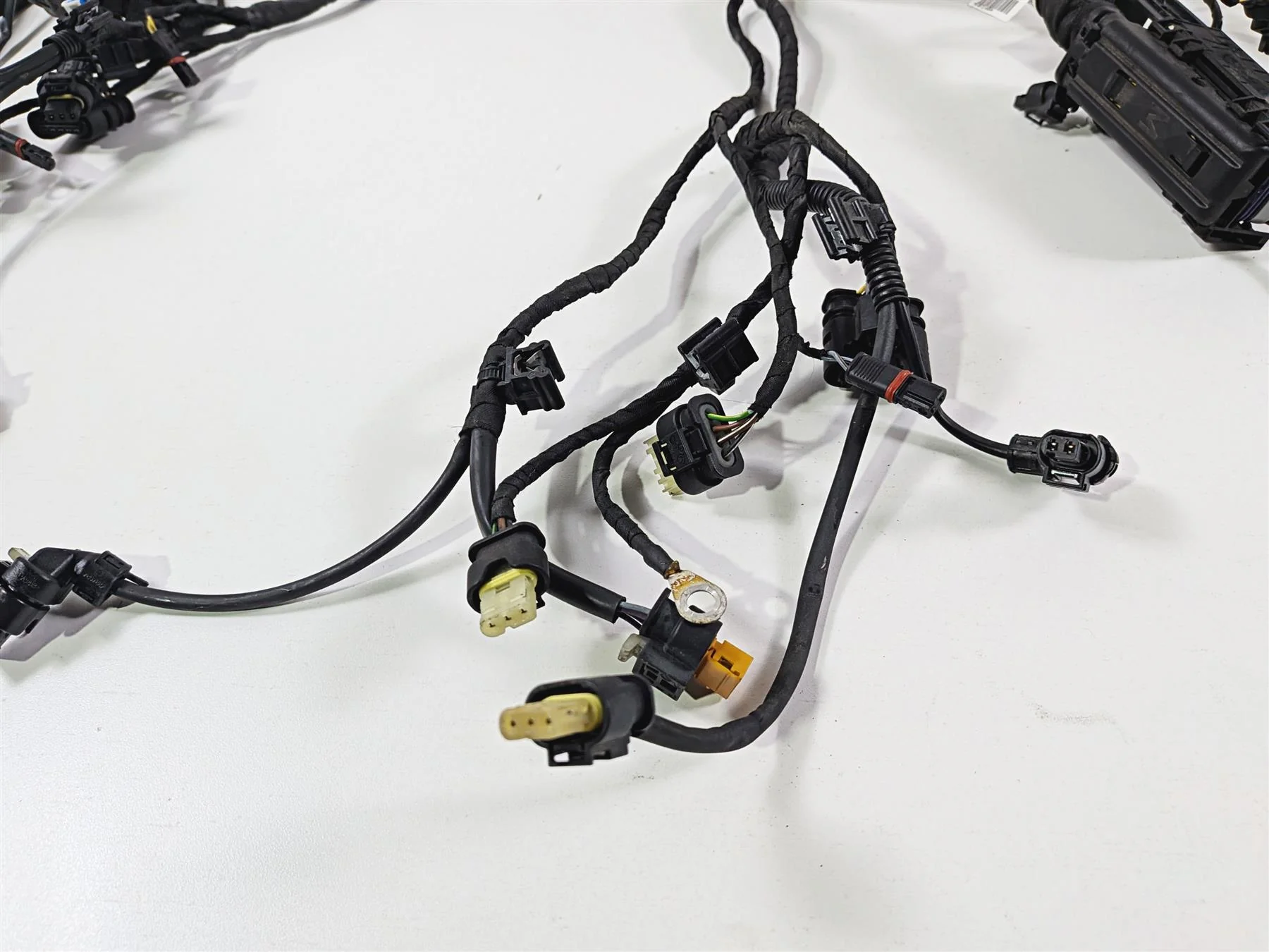 2023 BMW R nineT Scrambler K23 Main Wiring Harness & Engine Wiring 61111623748 - Image 4