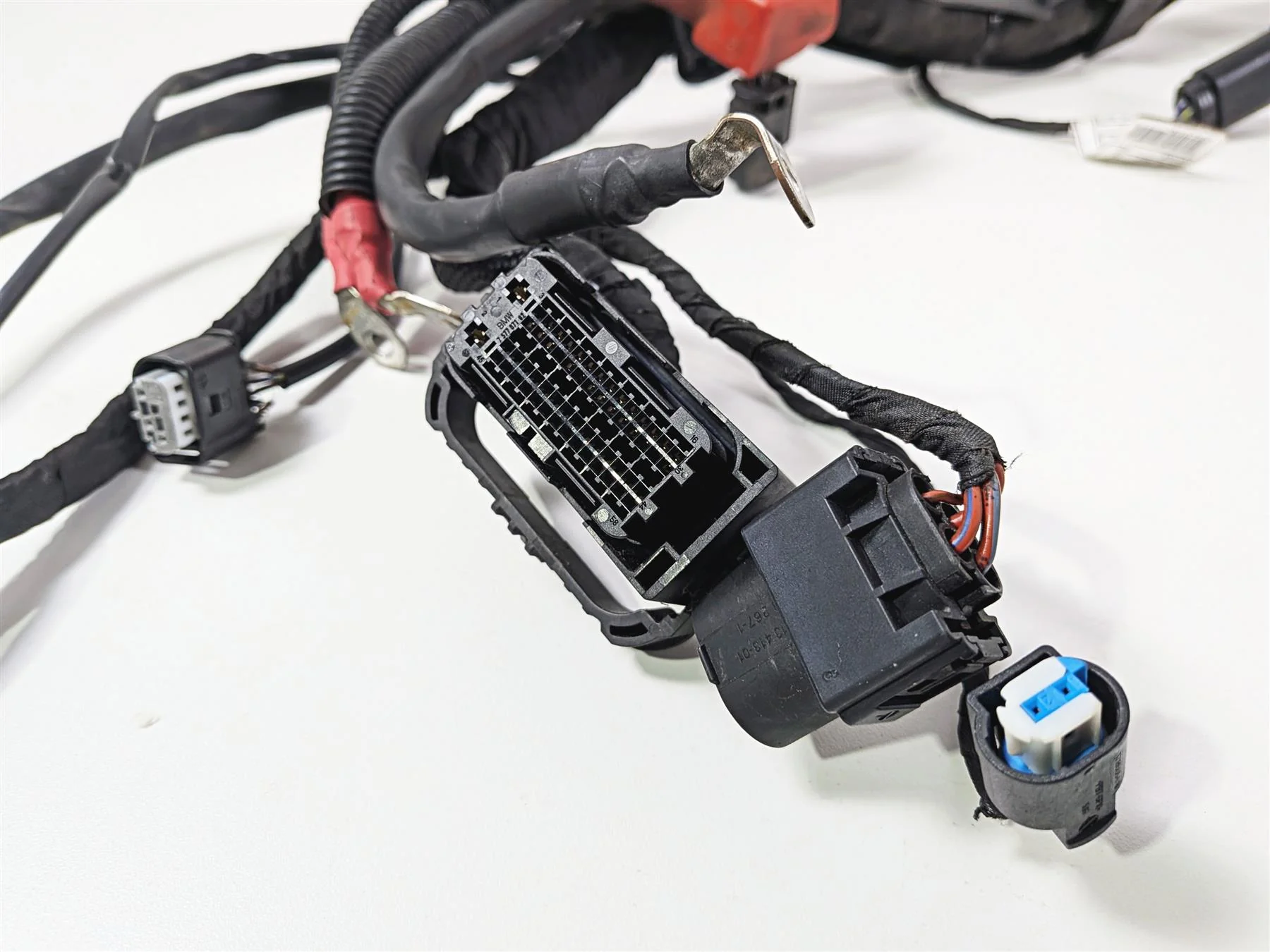 2023 BMW R nineT Scrambler K23 Main Wiring Harness & Engine Wiring 61111623748 - Image 8