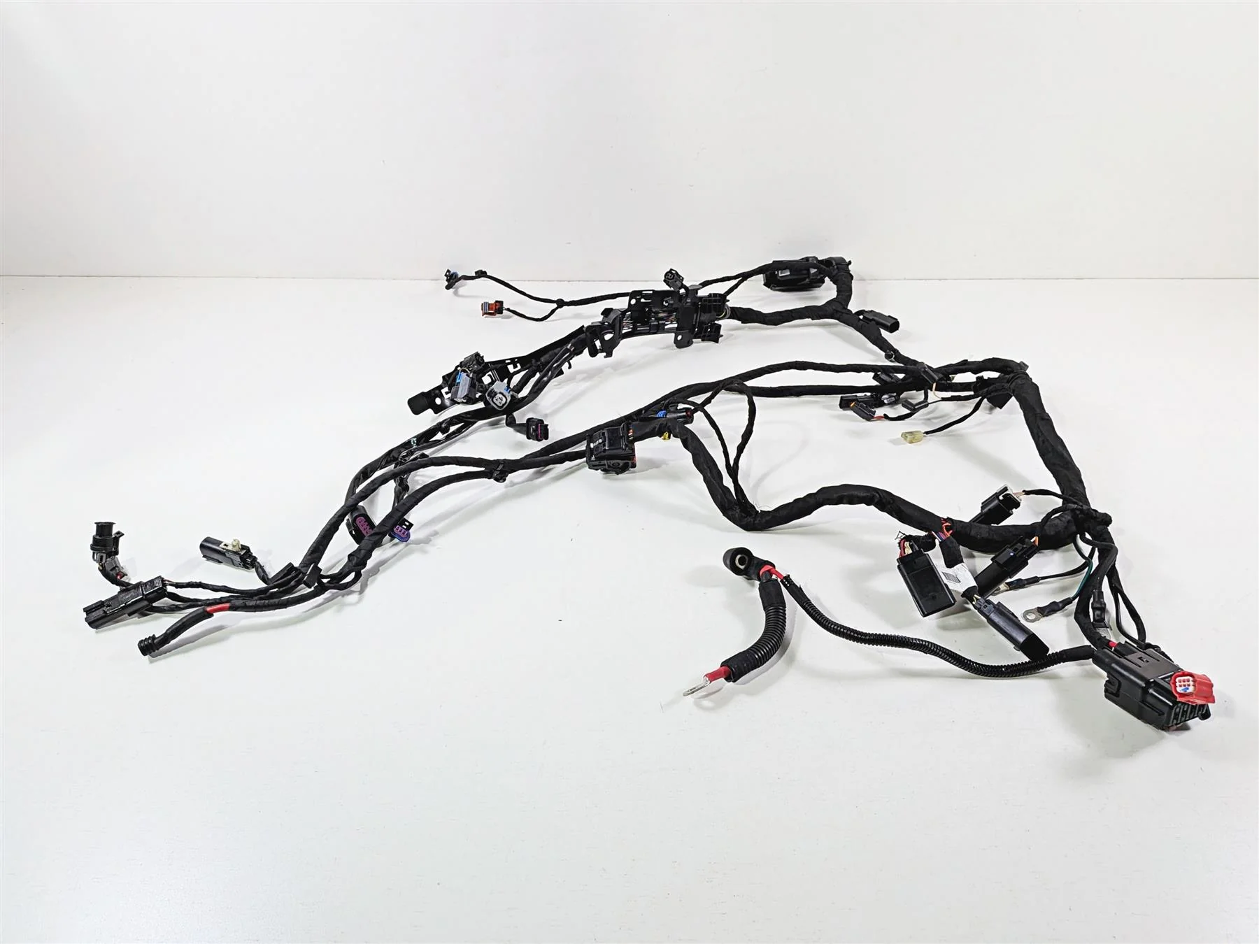 2024 Harley Softail FXLRST Low Rider Main Wiring Harness 117 - No Cuts 69202197