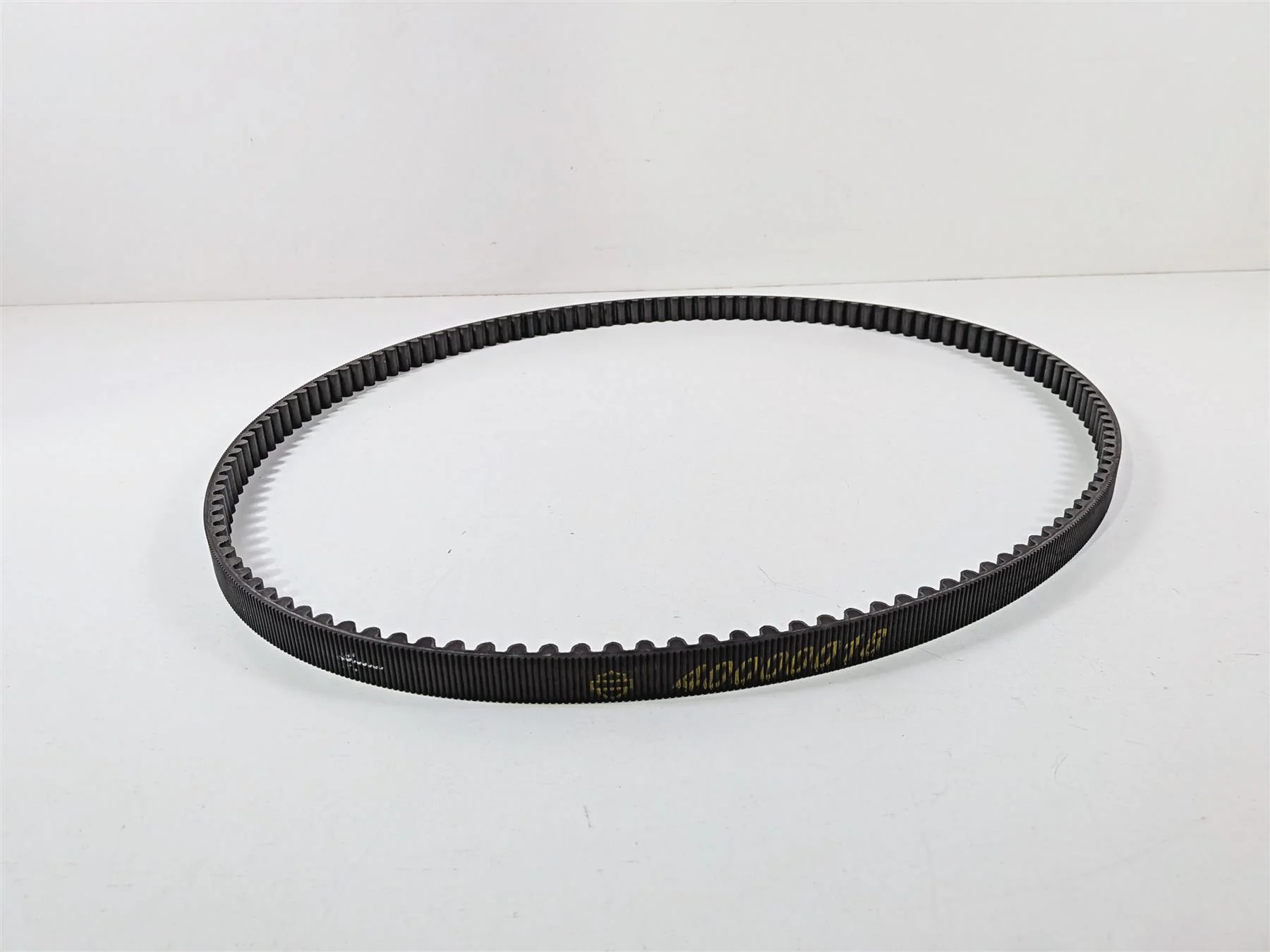 2024 Harley Softail FXLRST Low Rider Rear Drive Belt 134T 24mm 40000018 - Image 2