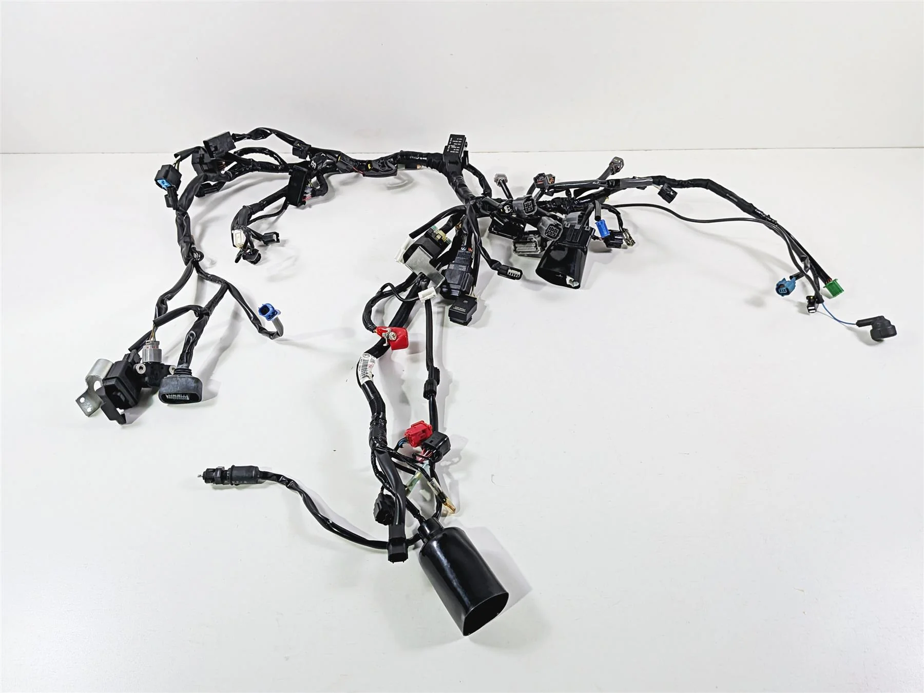 2024 Kawasaki EX500 Ninja 40th An. Wiring Harness Loom -No Cuts 26031-4300 - Image 13