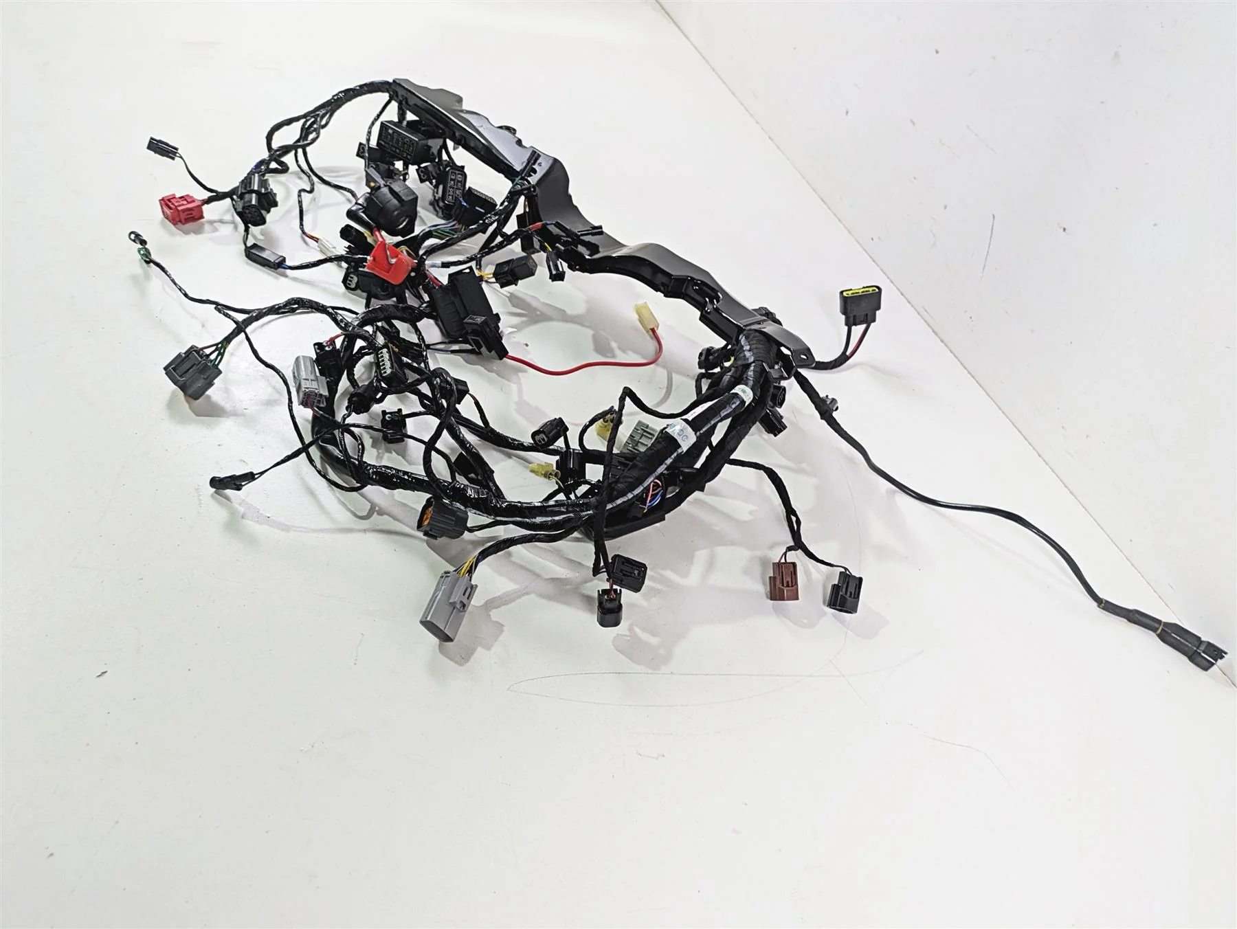 2024 Triumph Street Triple 765 R Main Wiring Harness Loom - No Cuts T2509765 - Image 3
