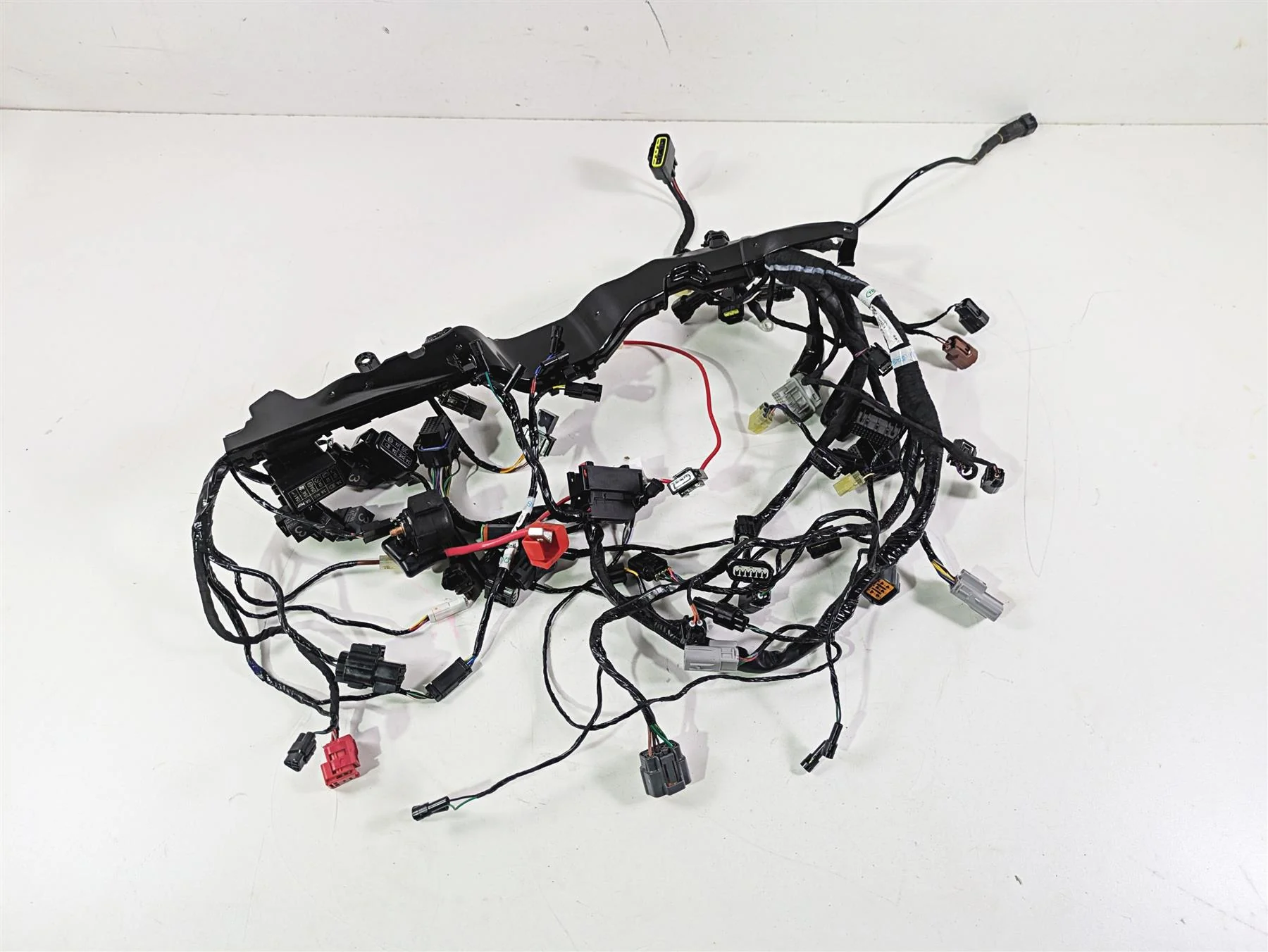 2024 Triumph Street Triple 765 R Main Wiring Harness Loom - No Cuts T2509765 - Image 4