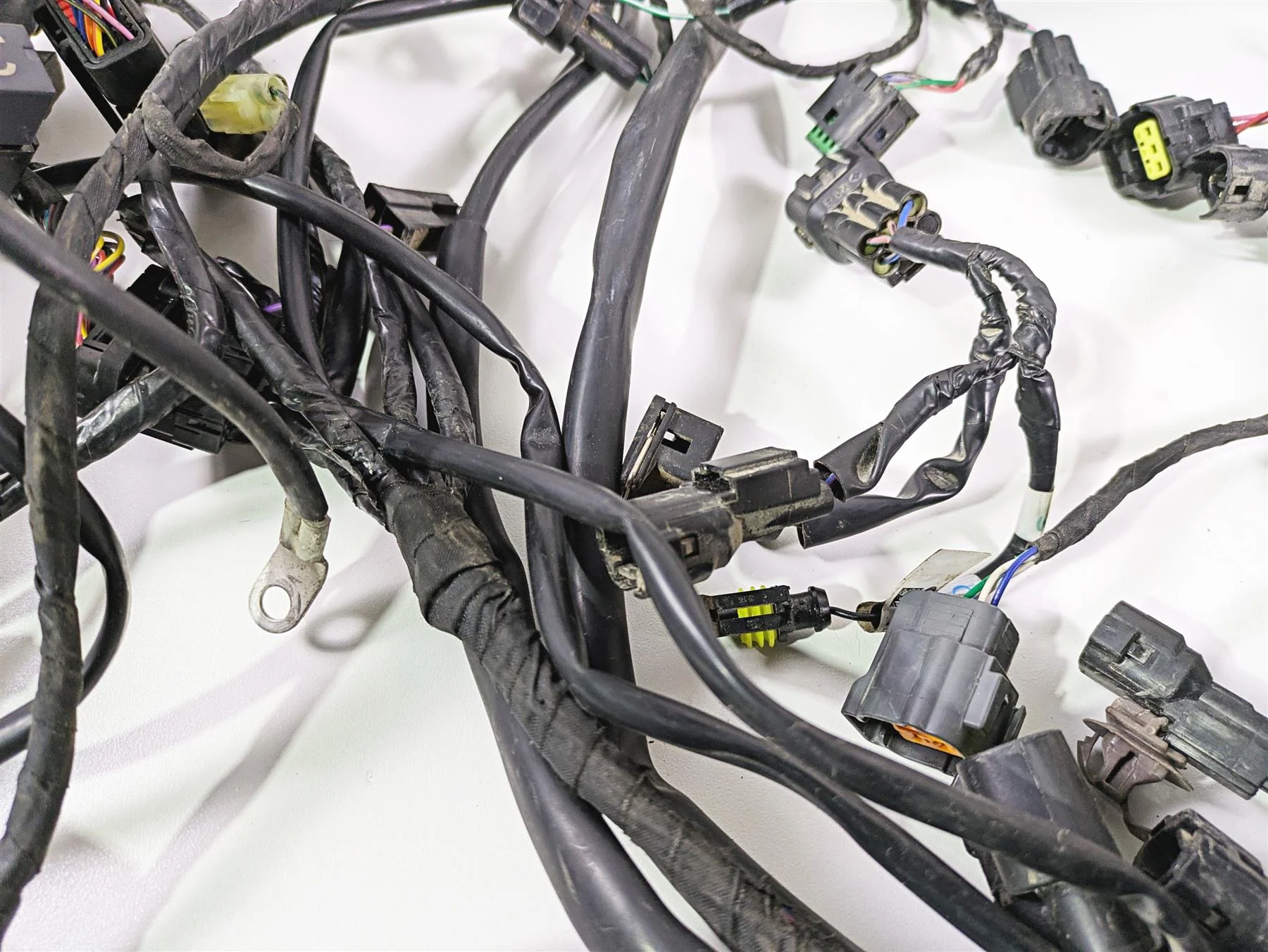 2024 Triumph Tiger 900 GT Main Wiring Harness Loom - No Cut T2507820 T2502370 - Image 5